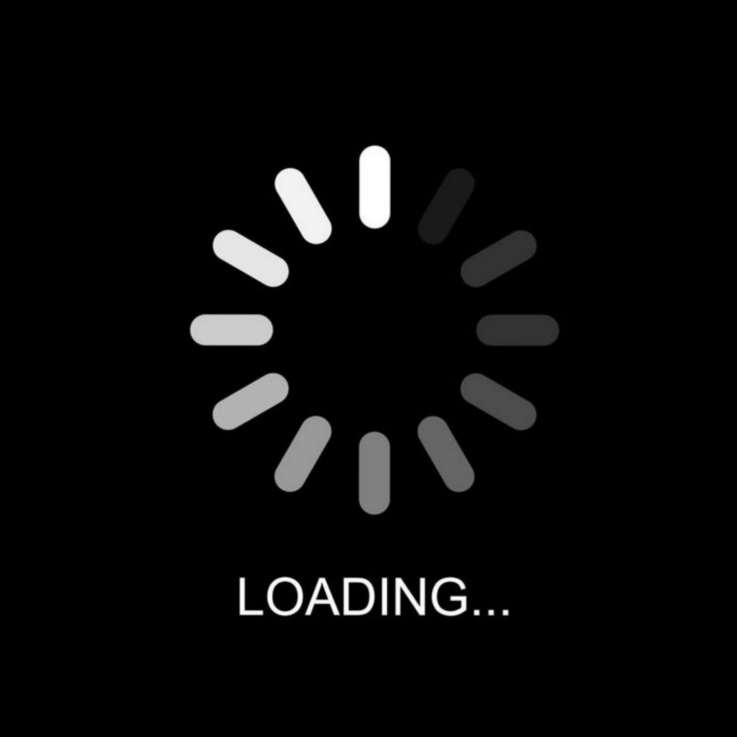 Camisolas recentemente adicionadas